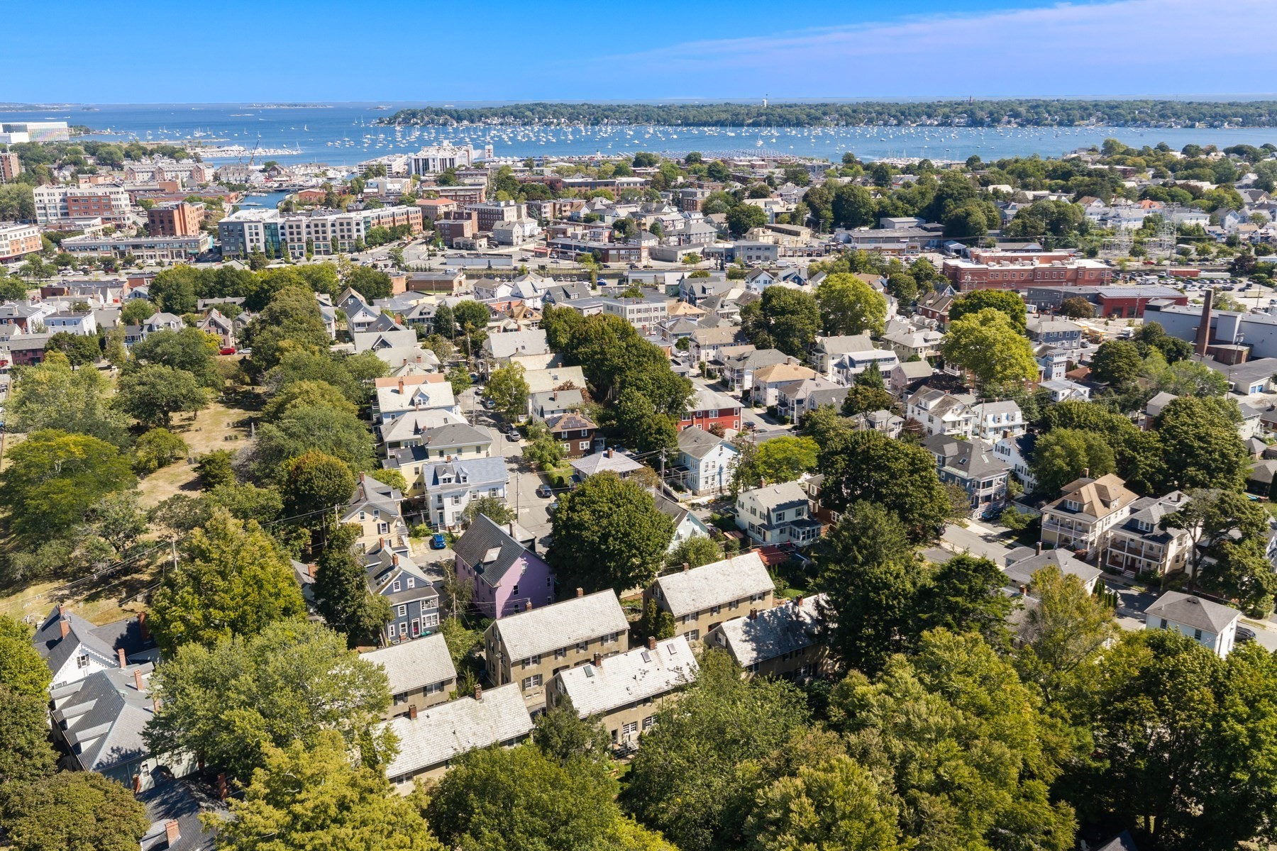 Aerial view of a leafy residential neighborhood and harbor dotted with boats.