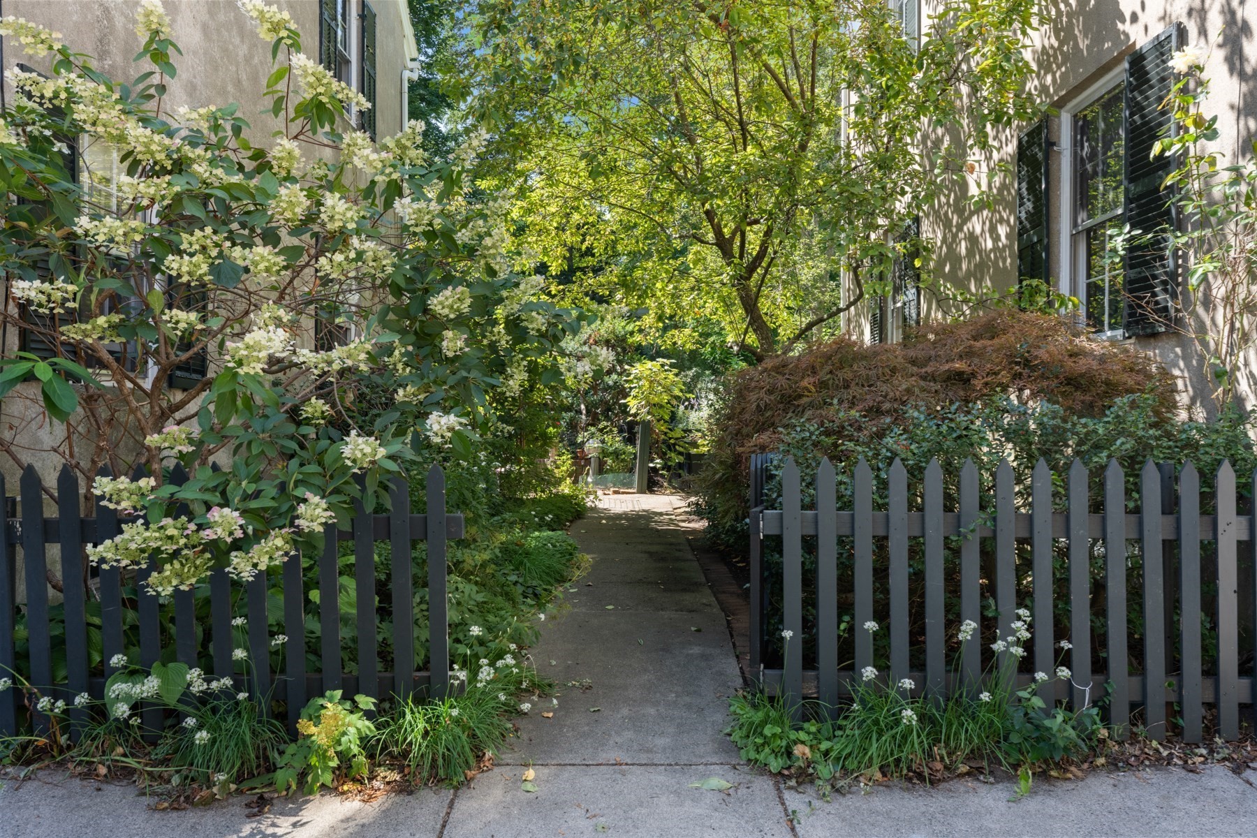 Garden walkway between residential buildings, bordered by flowering shrubs and dark picket fences.