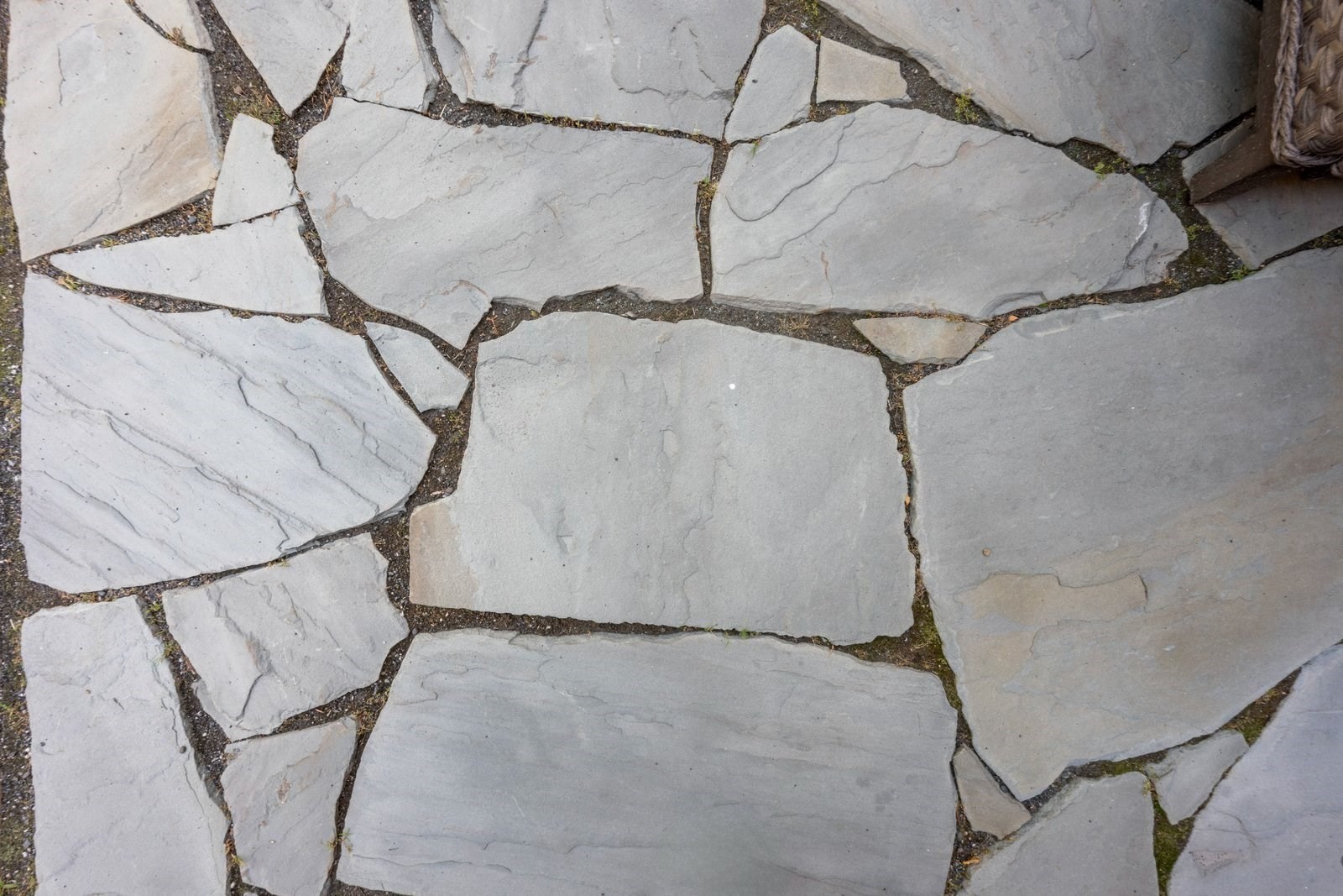 Irregular light gray flagstones form an outdoor walkway or patio.
