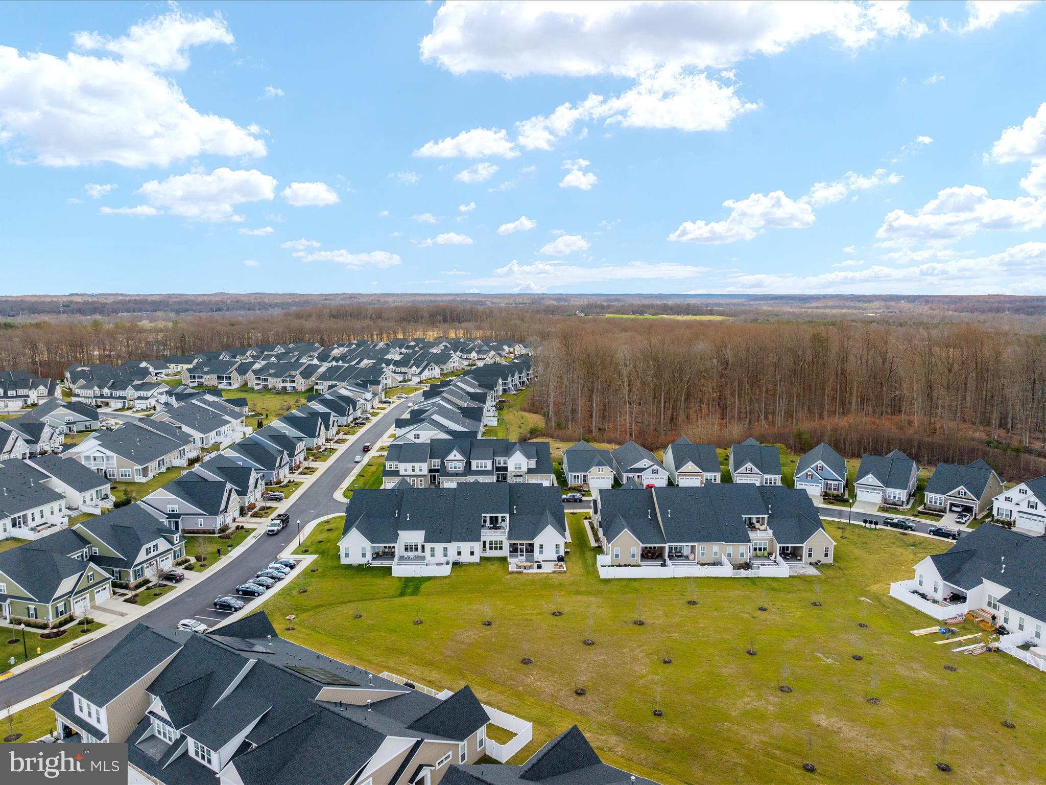 4017 CURLED DOCK LANE