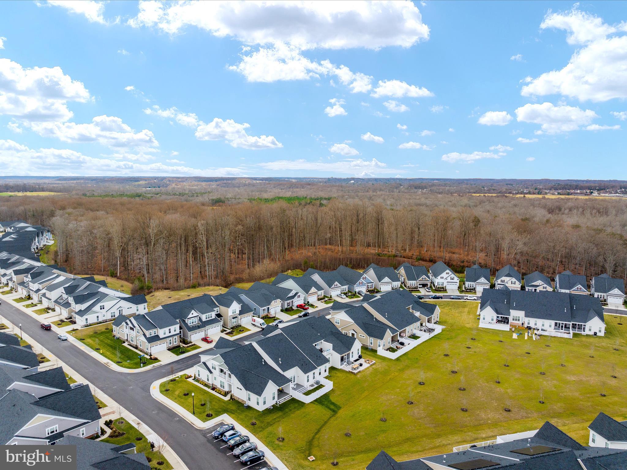 4017 CURLED DOCK LANE