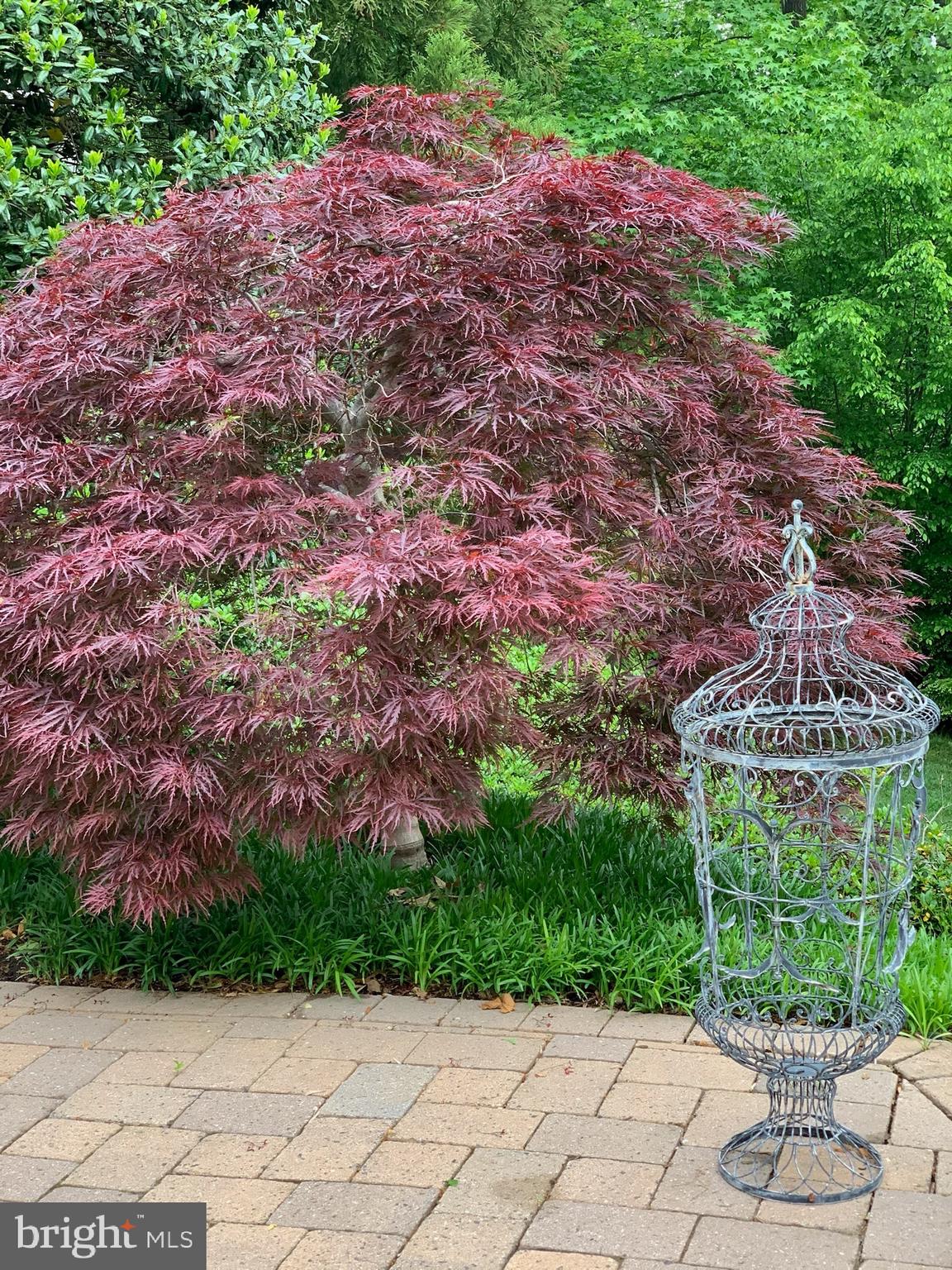 3106 FERN HILL COURT