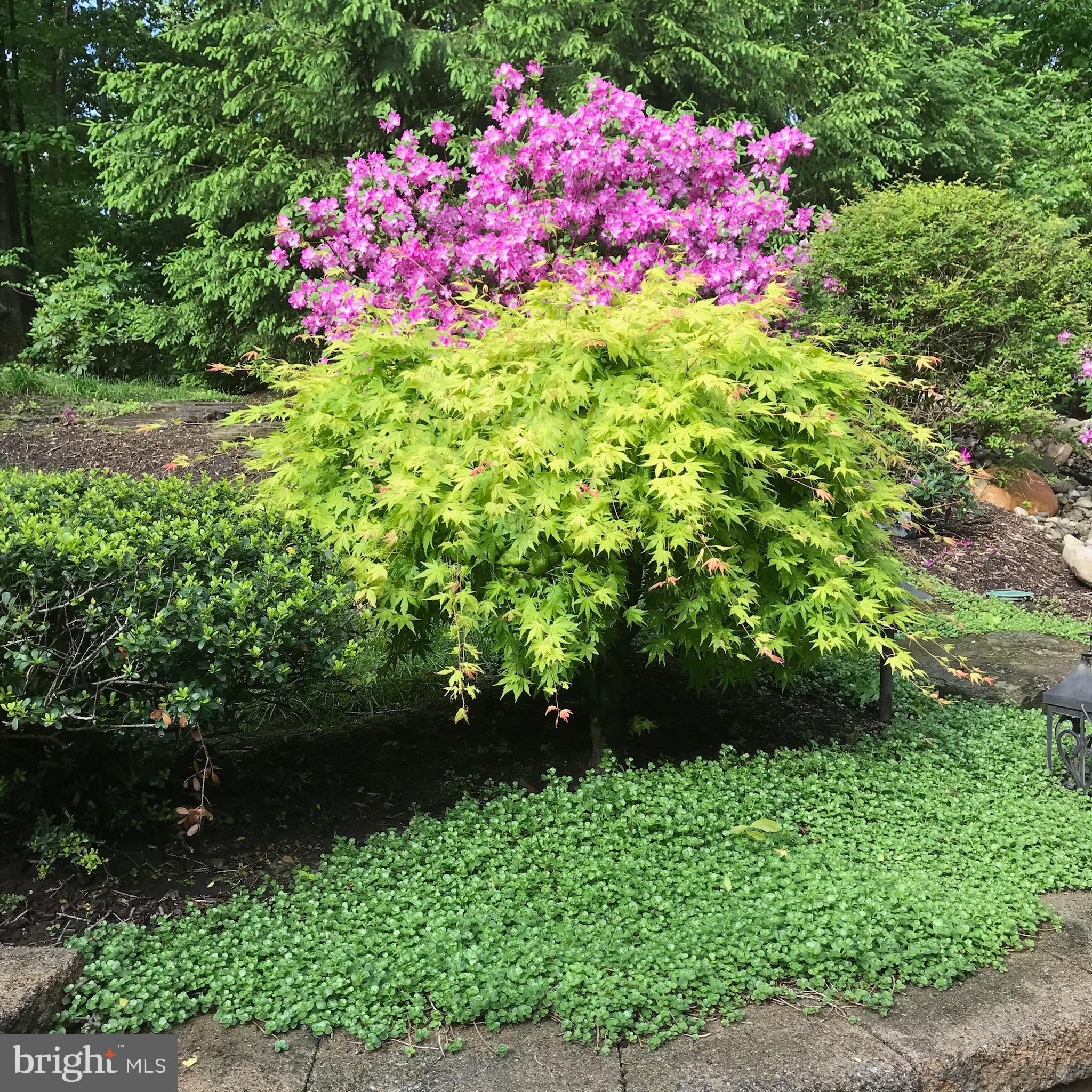 3106 FERN HILL COURT