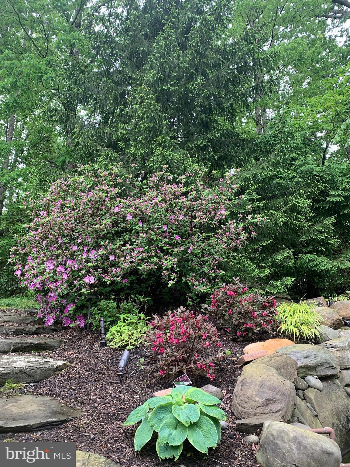 3106 FERN HILL COURT