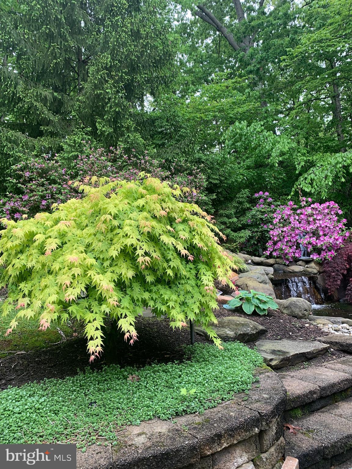 3106 FERN HILL COURT