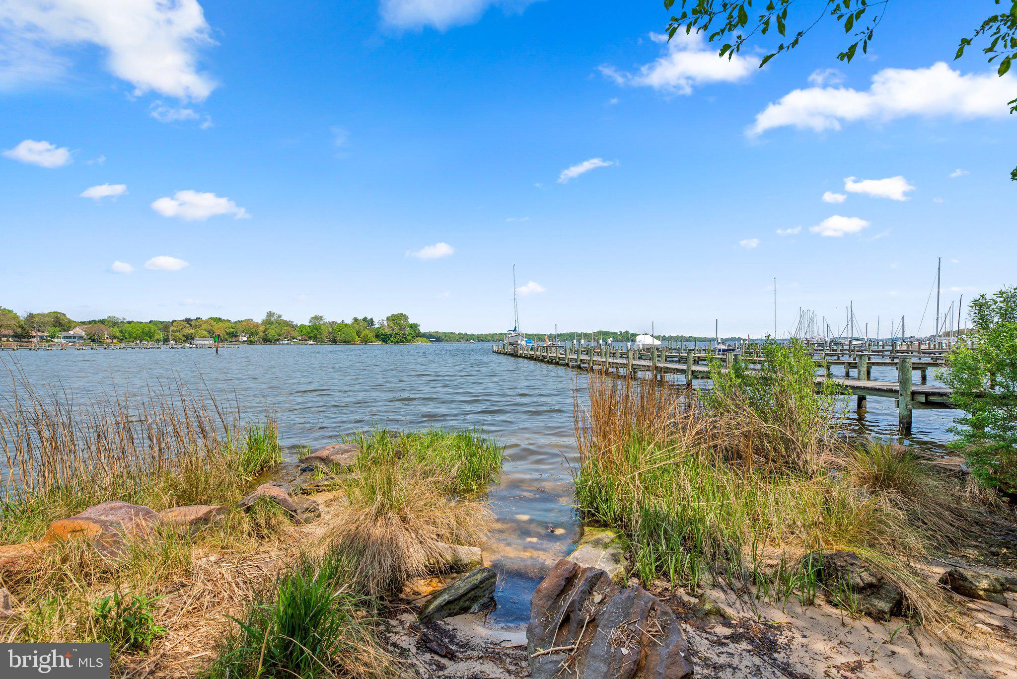 865 BUCKINGHAM COVE ROAD