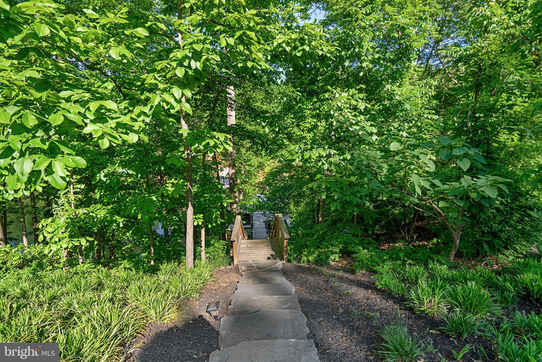 1888 LUCE CREEK DRIVE