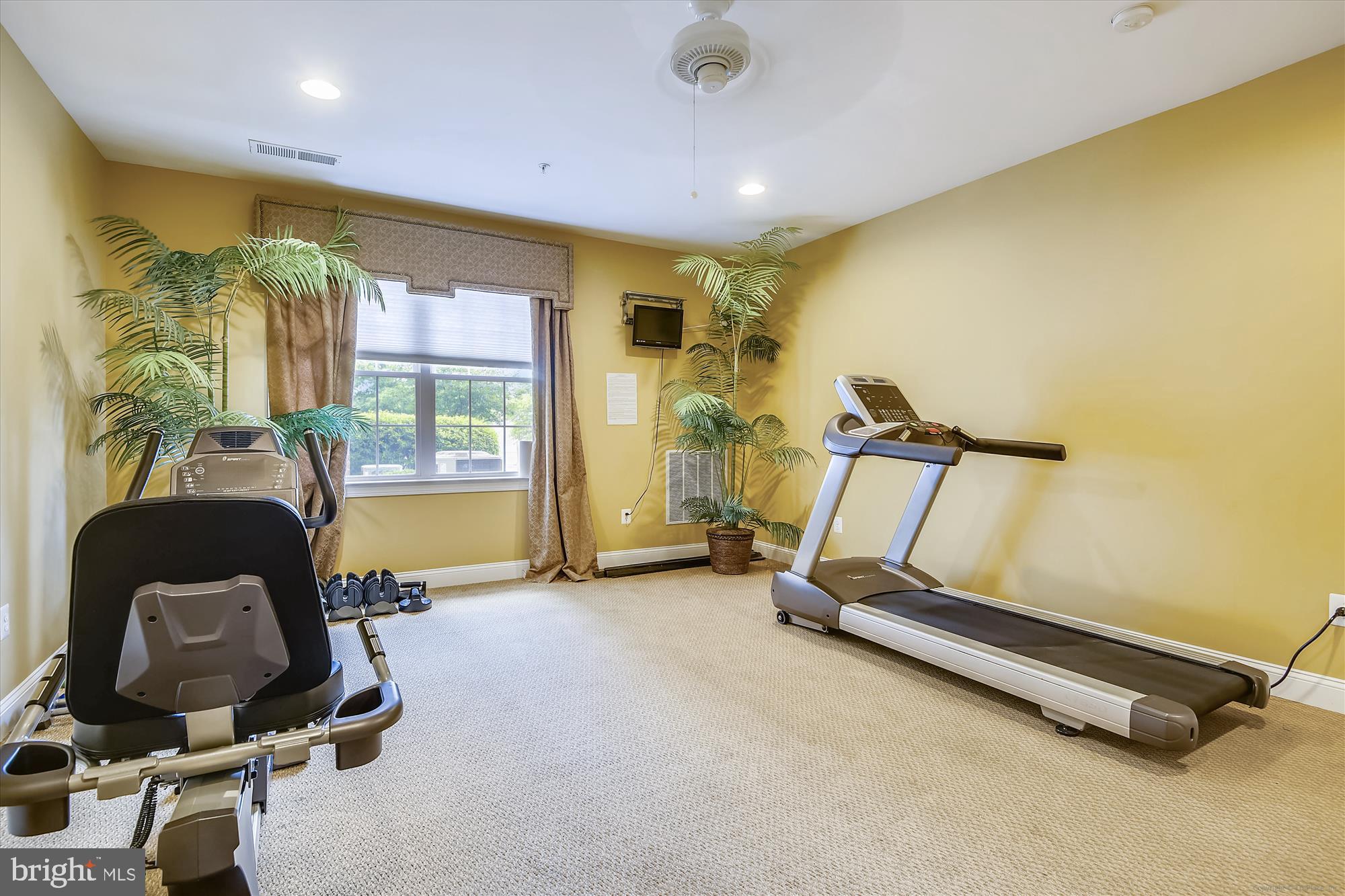 8535 VETERANS HIGHWAY 205