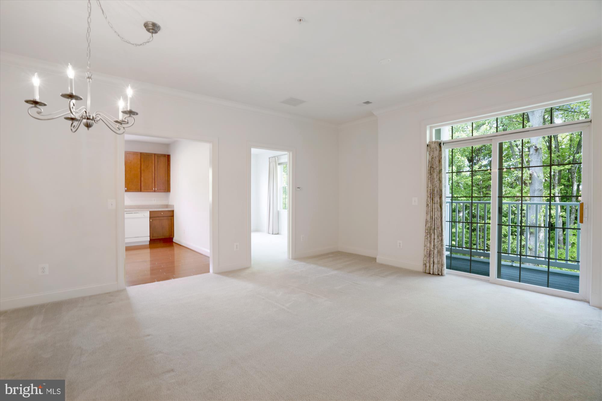 8535 VETERANS HIGHWAY 205