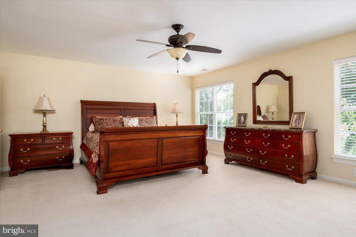 8265 GREEN ICE DRIVE