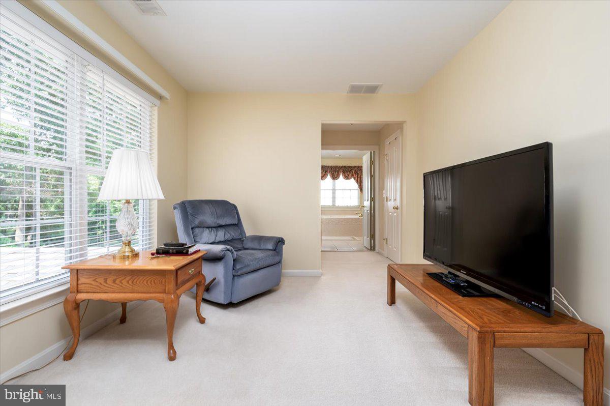 8265 GREEN ICE DRIVE