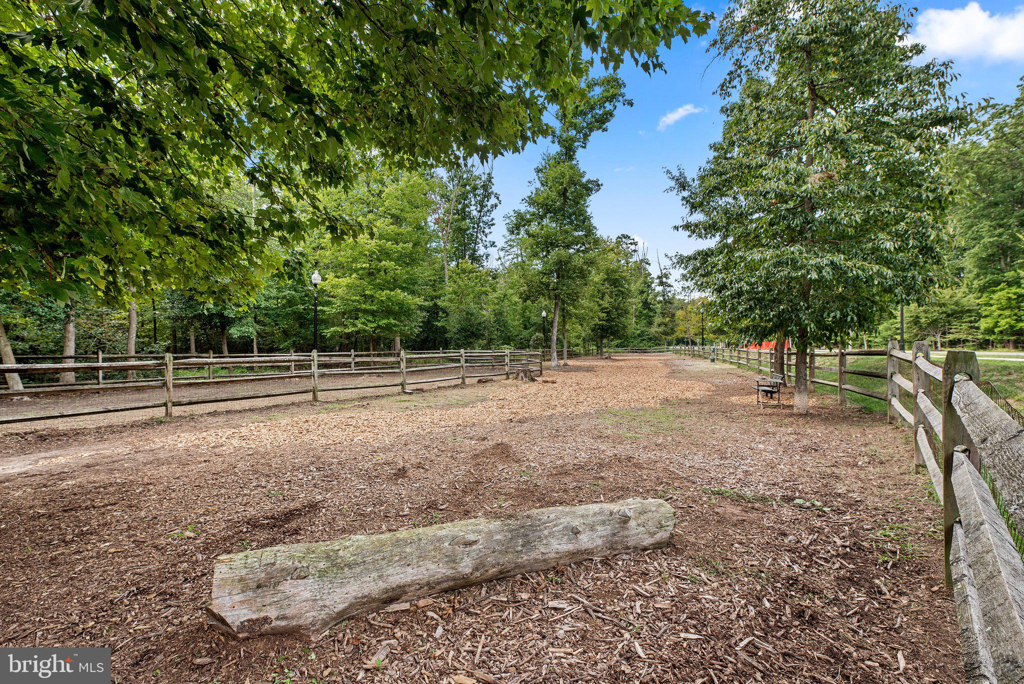 719 APPLE ORCHARD DRIVE