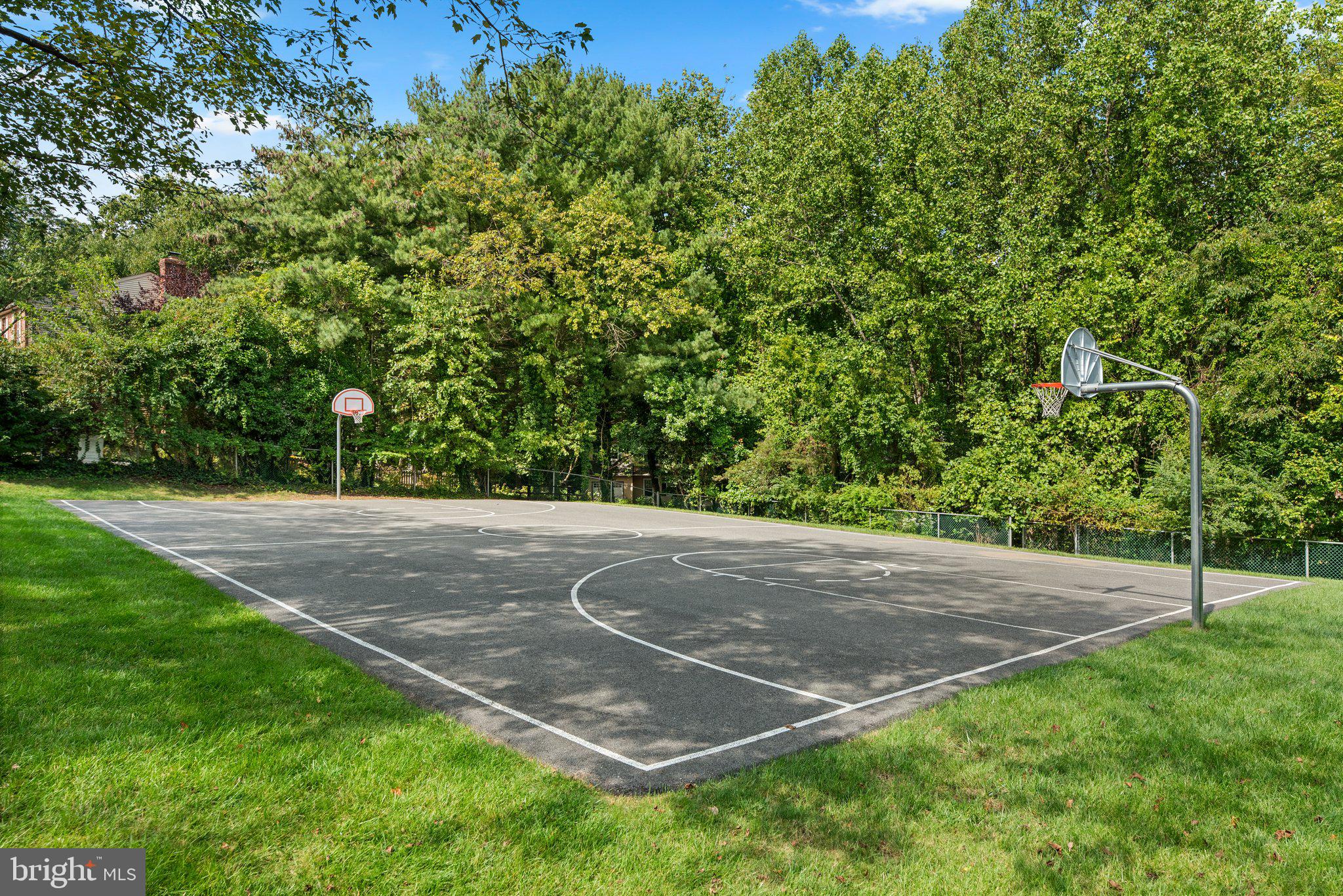 502 NORTON LANE