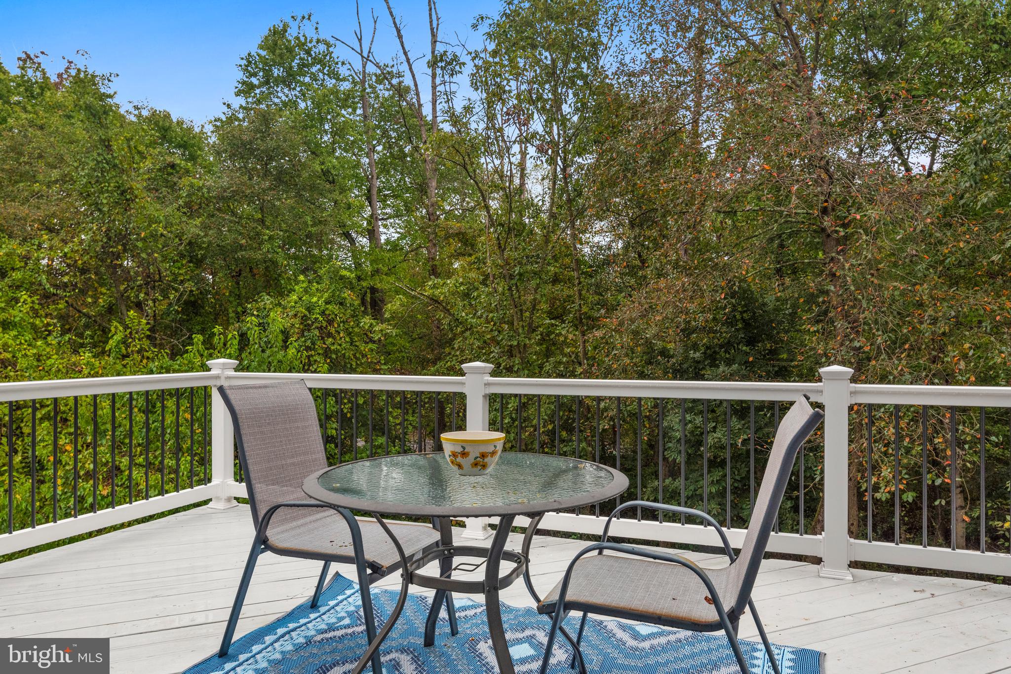 8389 PIPING ROCK COURT