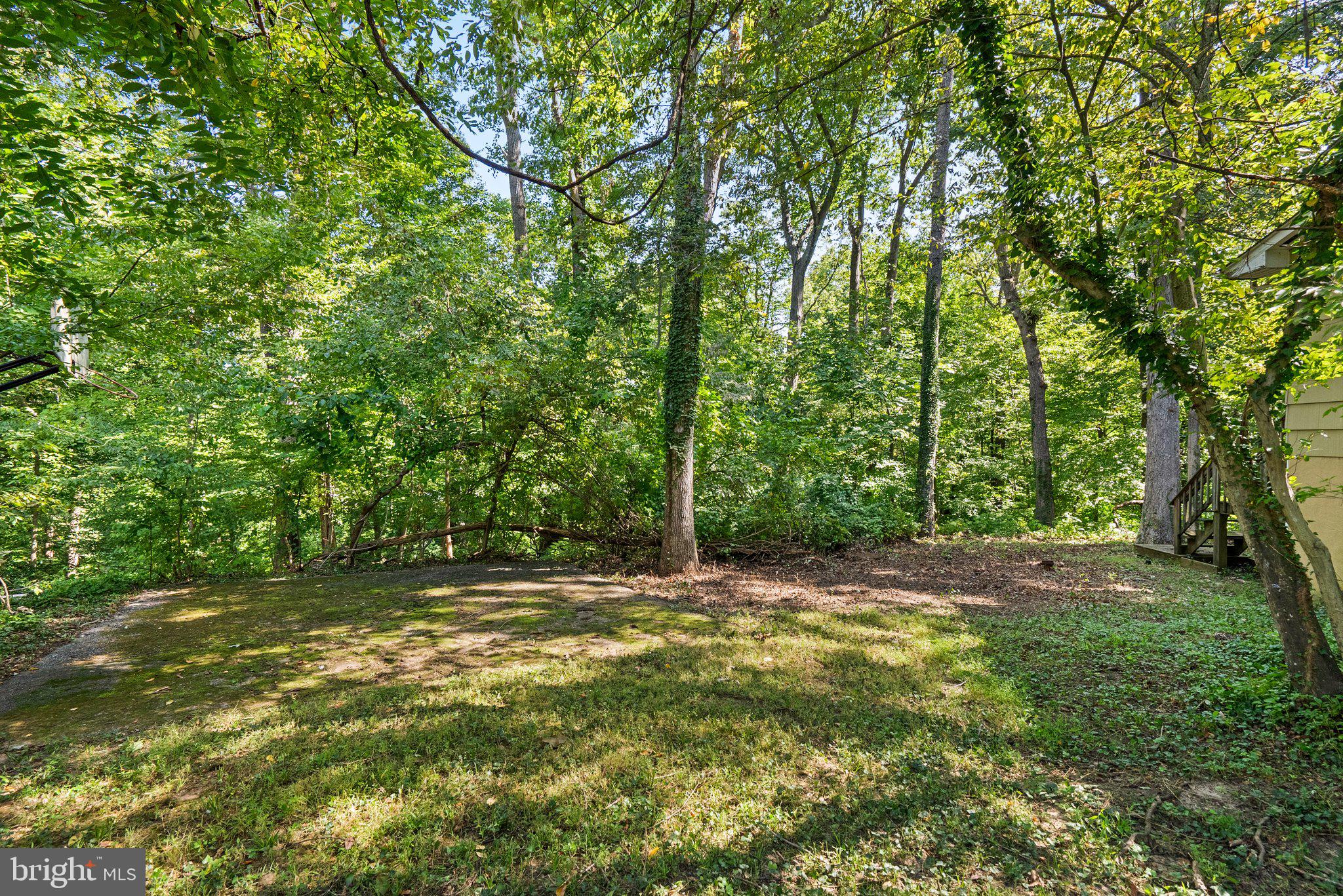 178 TALL TREE TRAIL