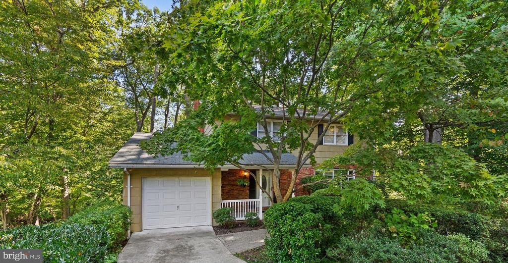 178 TALL TREE TRAIL