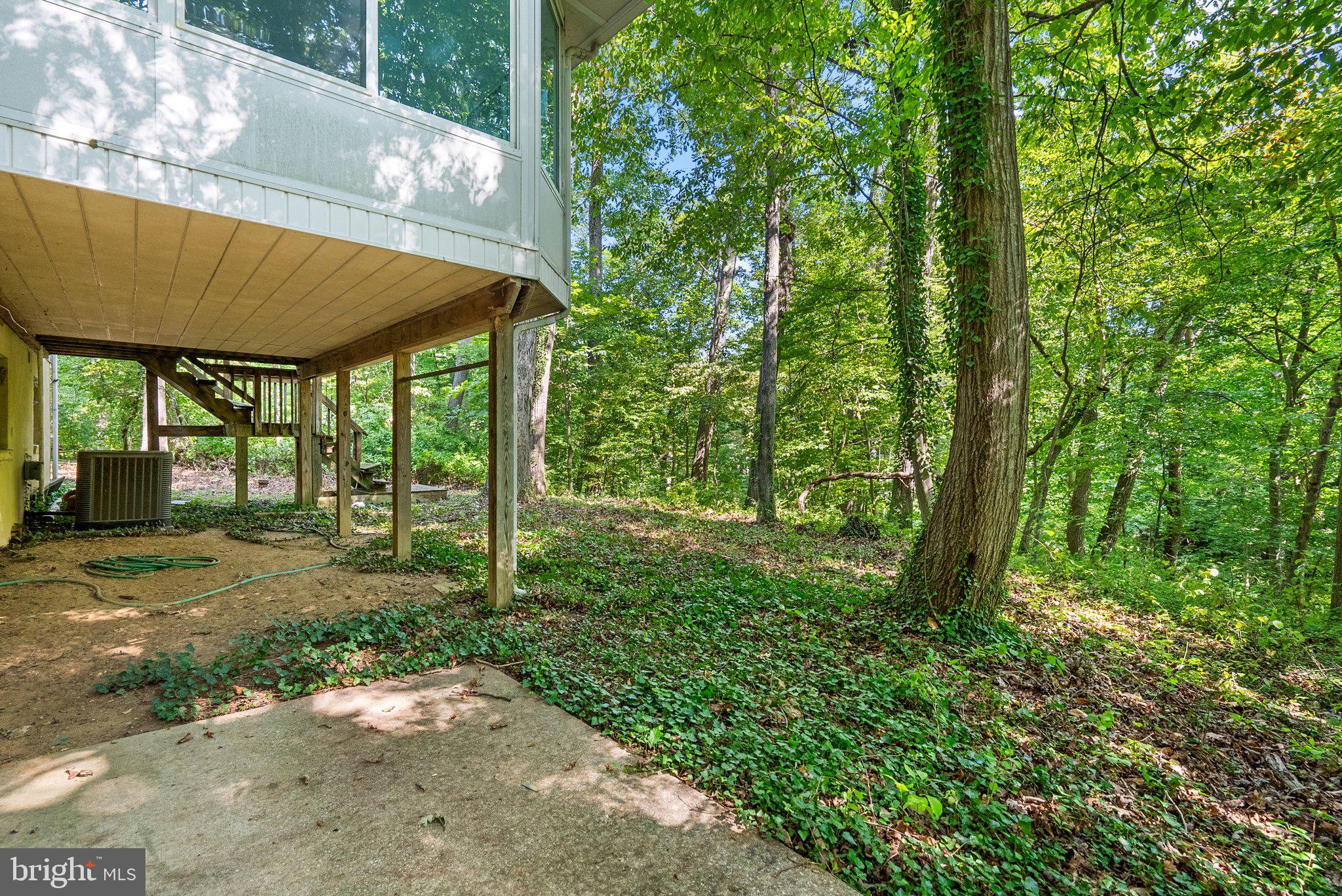 178 TALL TREE TRAIL