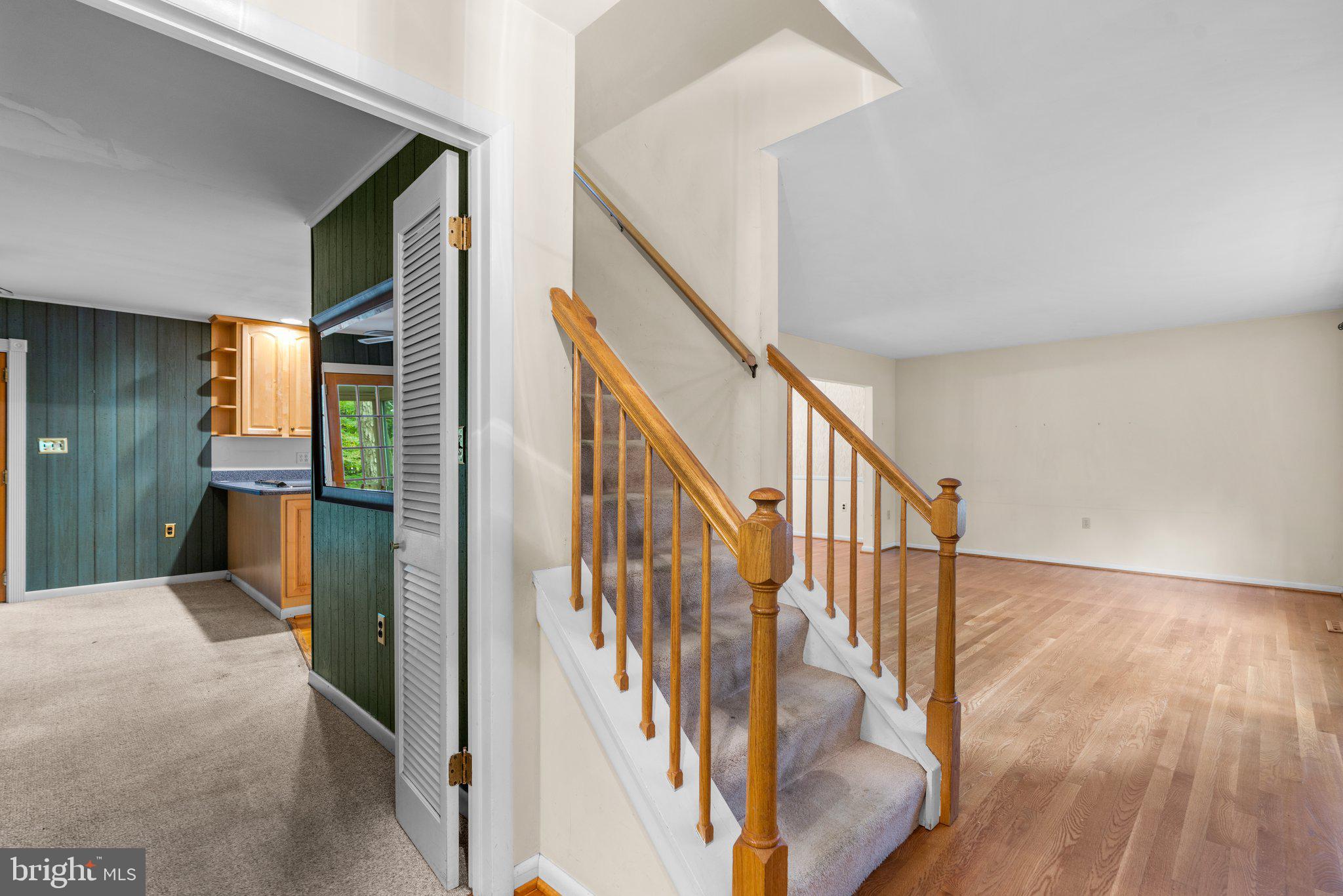 178 TALL TREE TRAIL