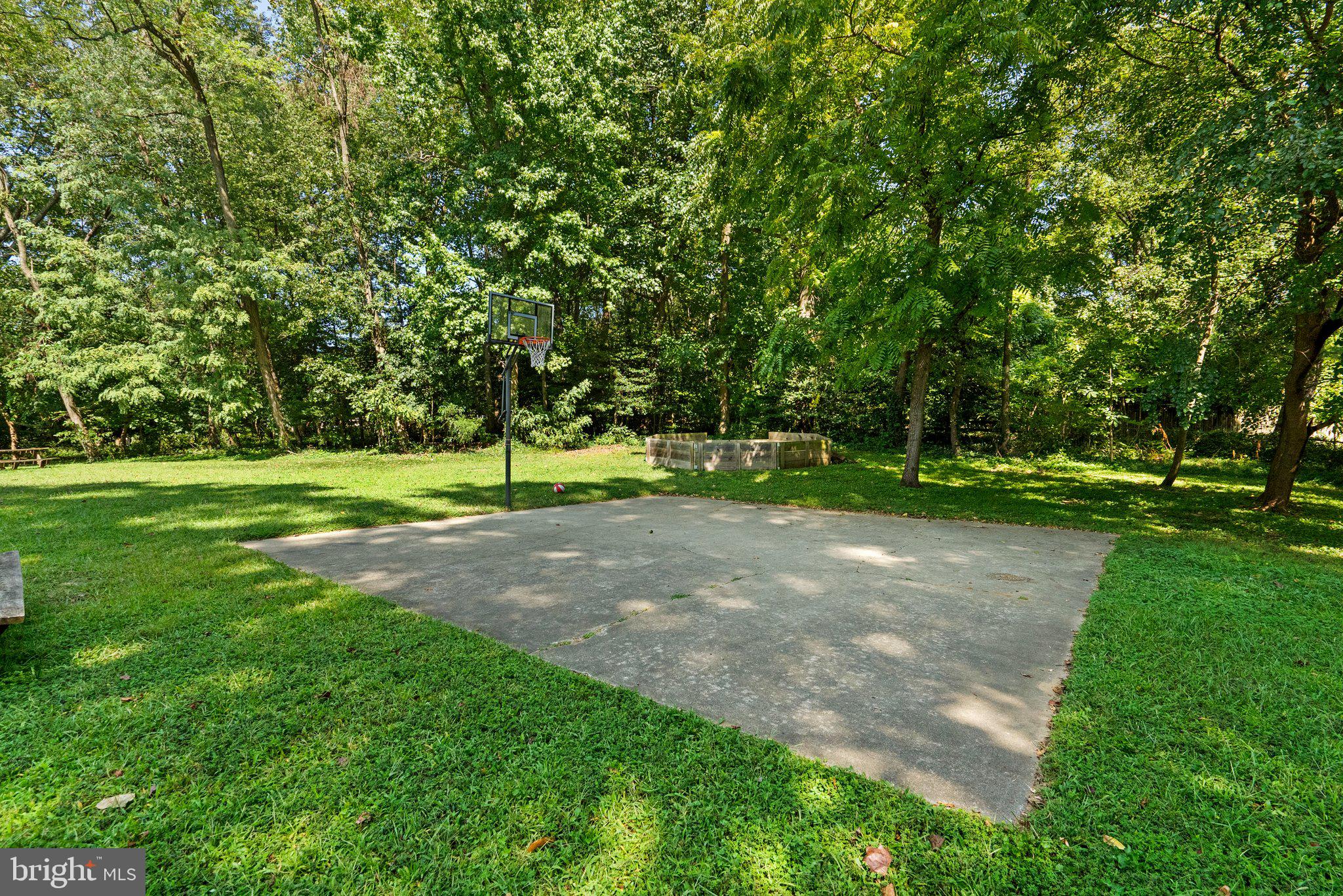 178 TALL TREE TRAIL