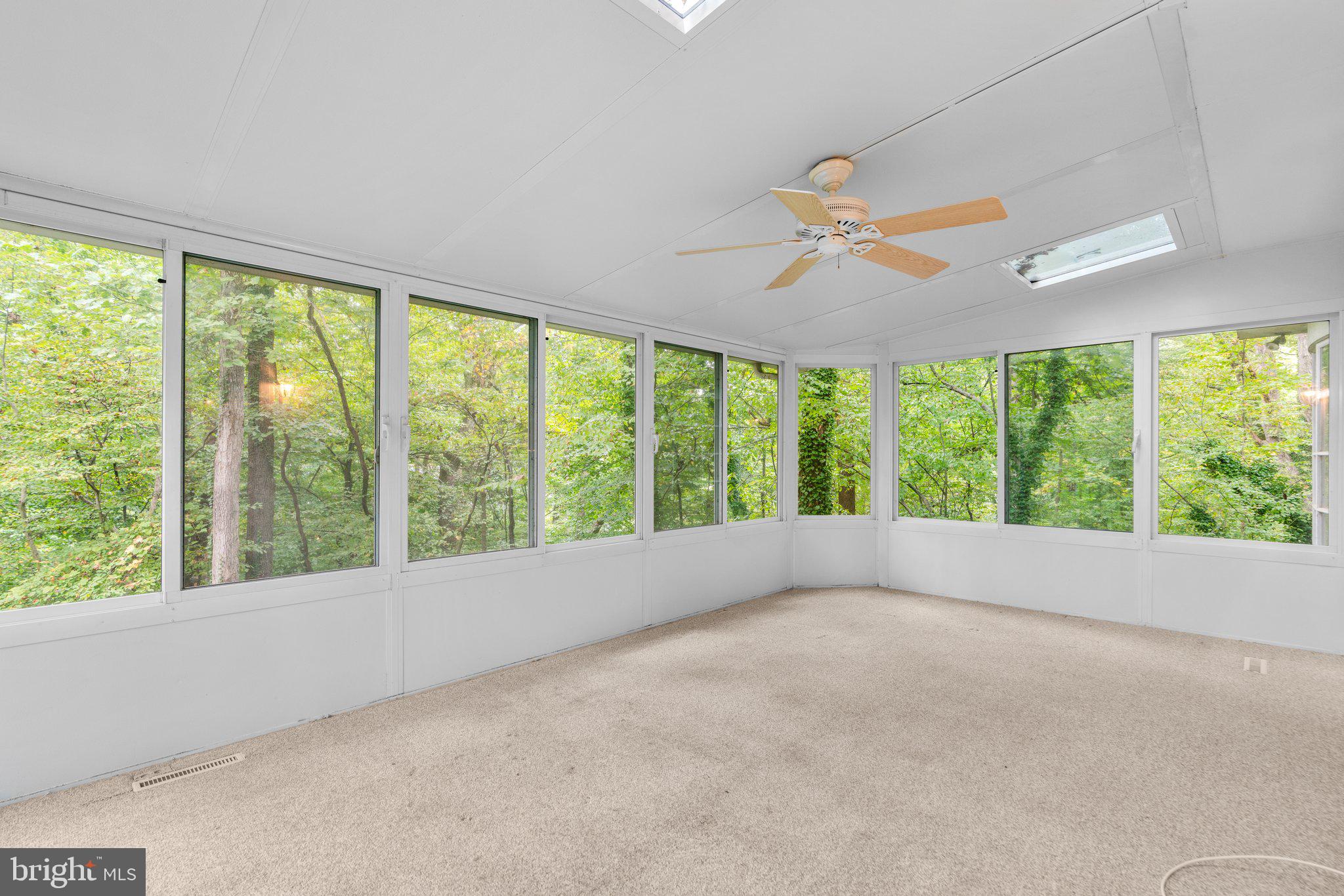 178 TALL TREE TRAIL