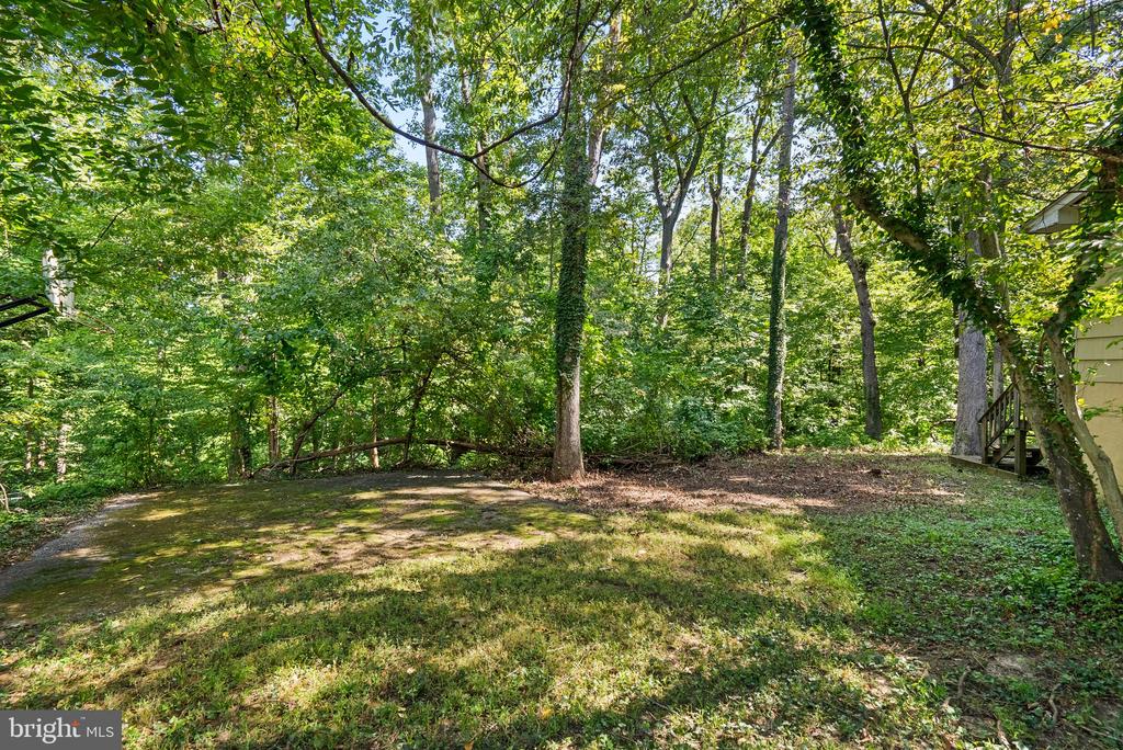 178 TALL TREE TRAIL
