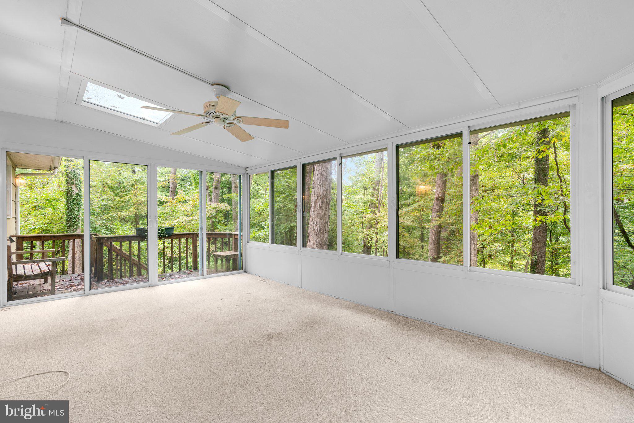 178 TALL TREE TRAIL