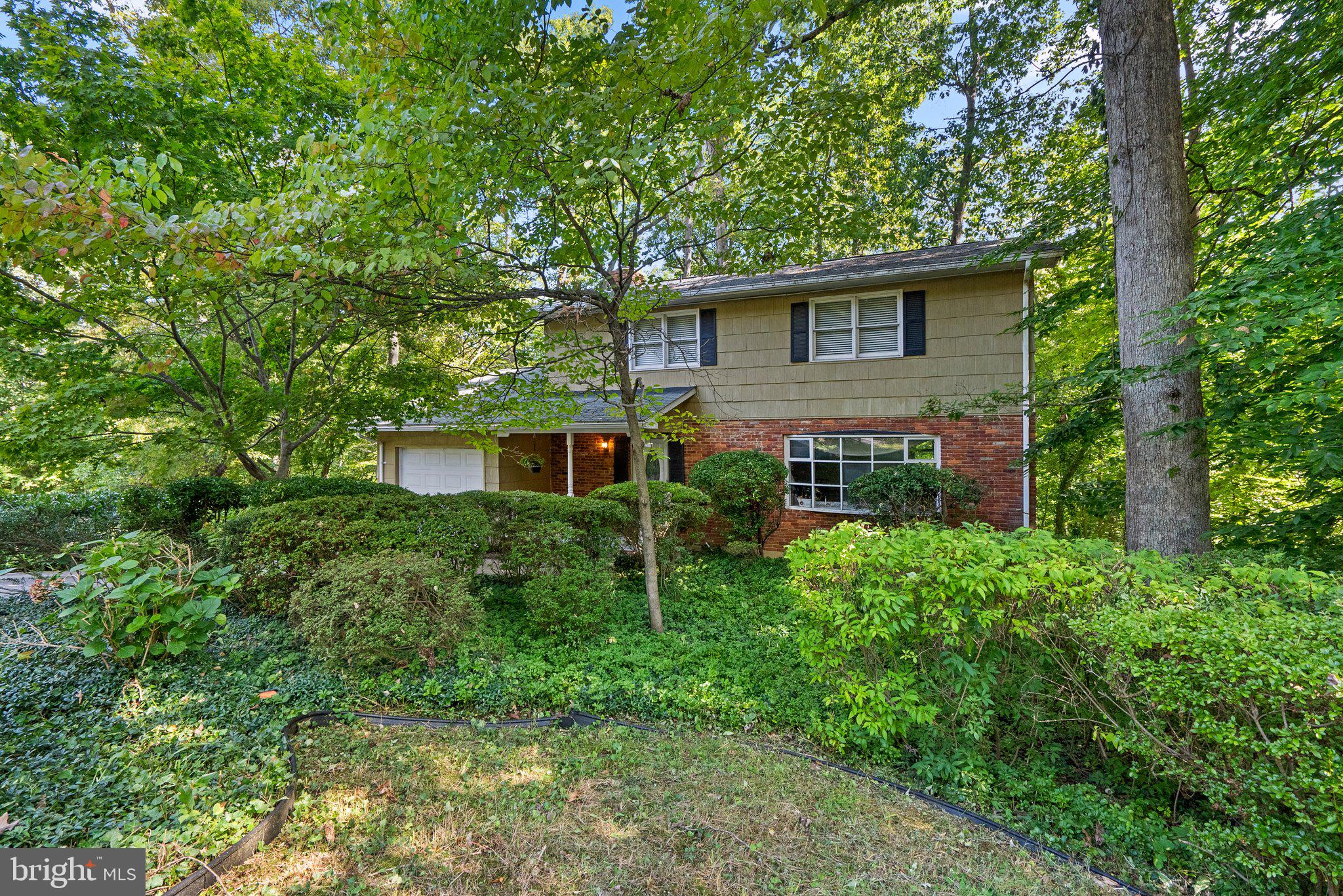 178 TALL TREE TRAIL