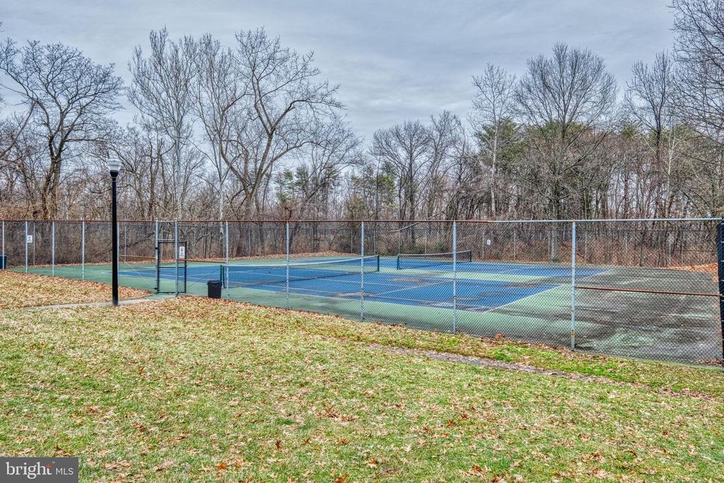 206 SPRING MAIDEN COURT 103