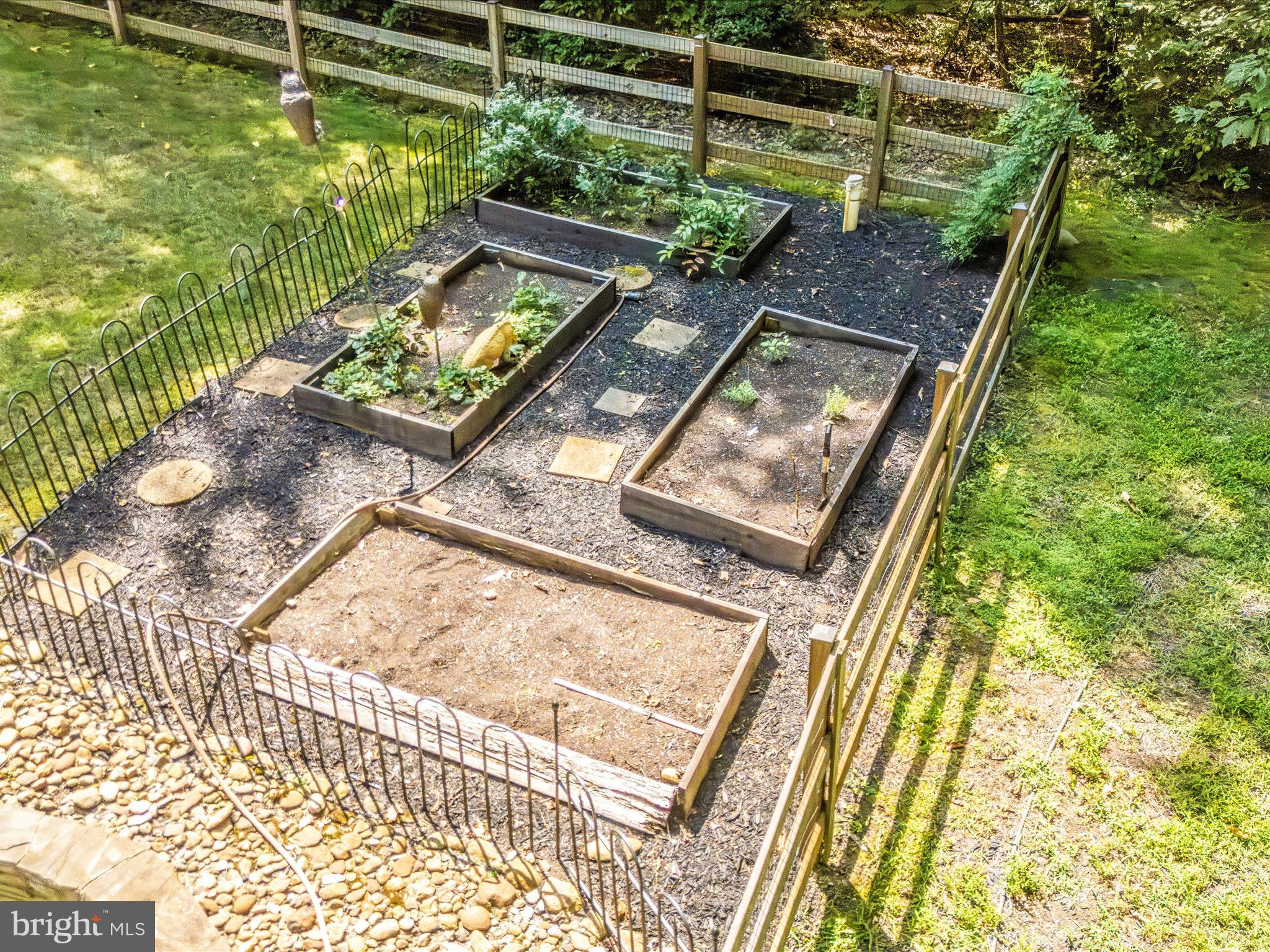 2020 JOHN HANSON OVERLOOK