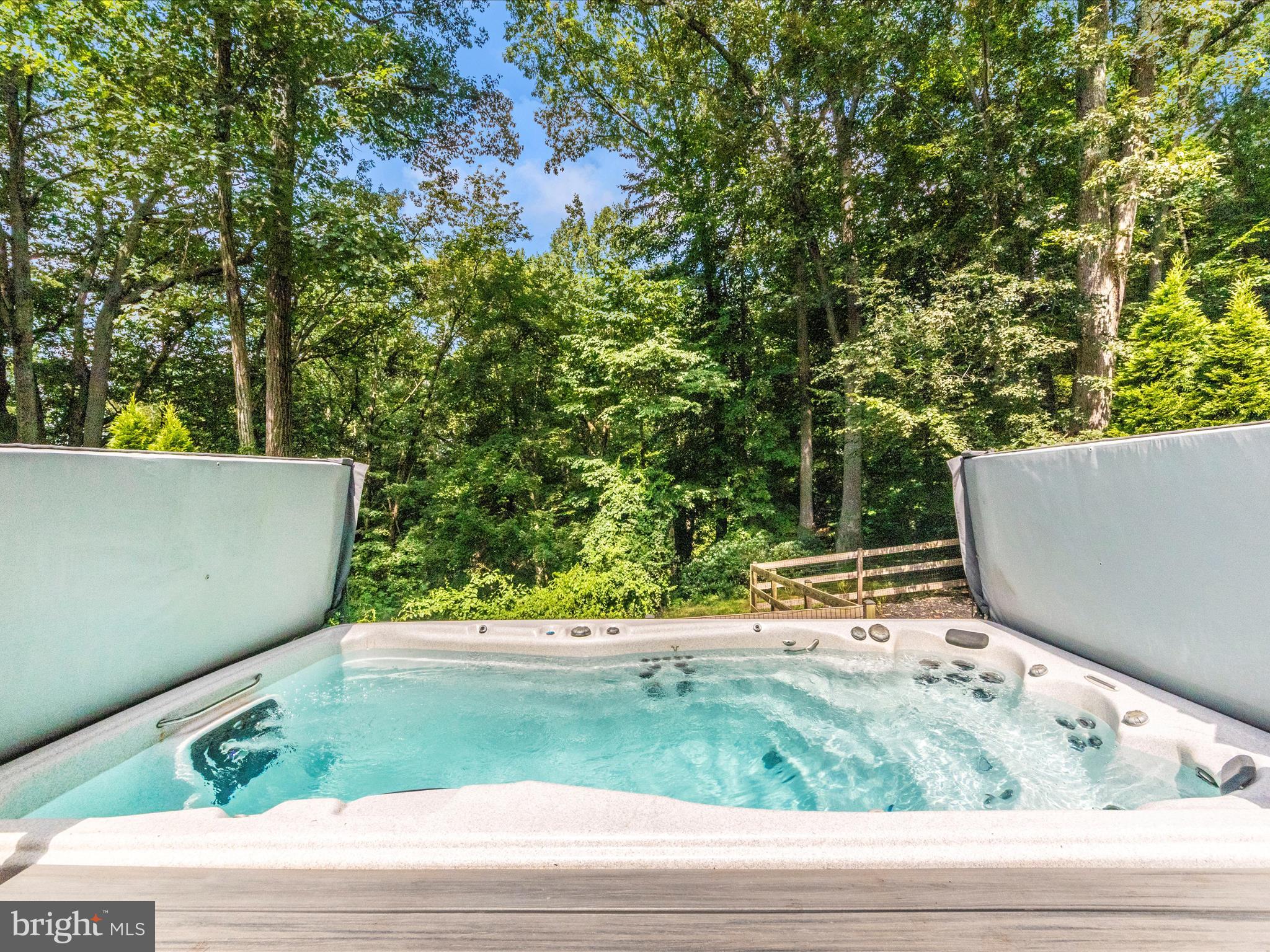 2020 JOHN HANSON OVERLOOK