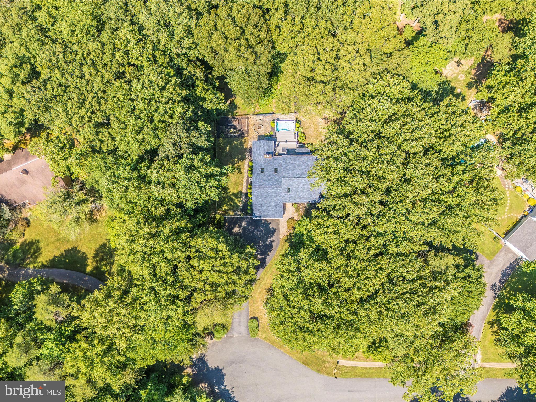 2020 JOHN HANSON OVERLOOK