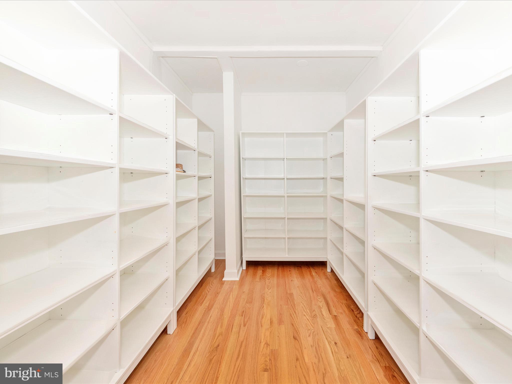 2020 JOHN HANSON OVERLOOK