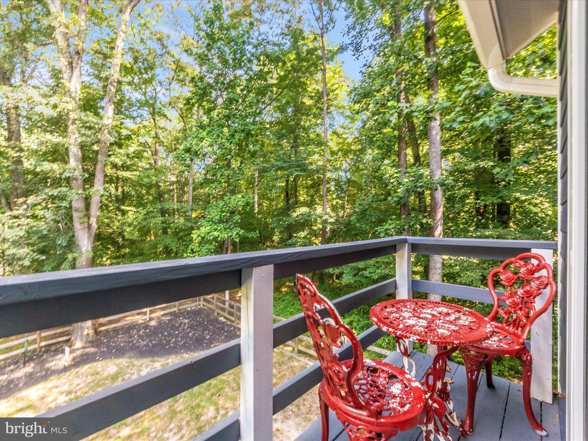 2020 JOHN HANSON OVERLOOK