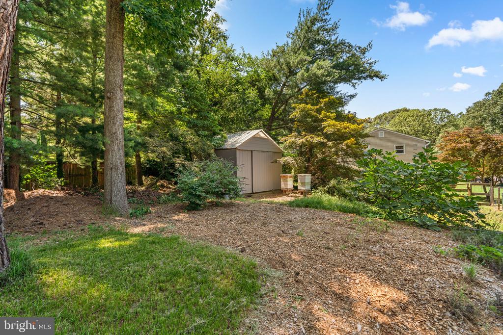 204 MILL COURT