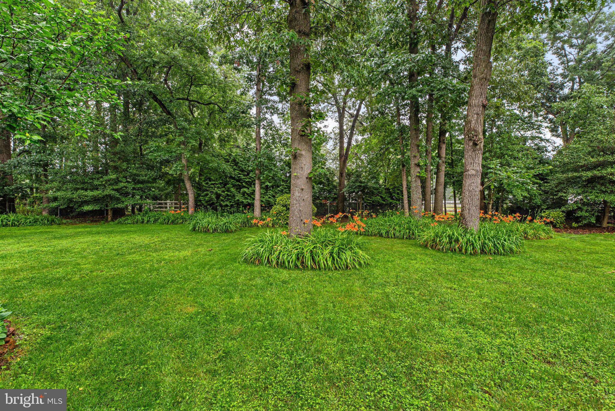 127 DREXEL DRIVE