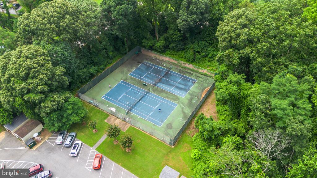 446 COLONIAL RIDGE LANE