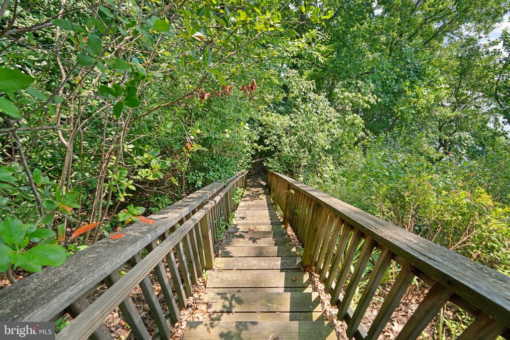 105 TRAILING IVY LANE