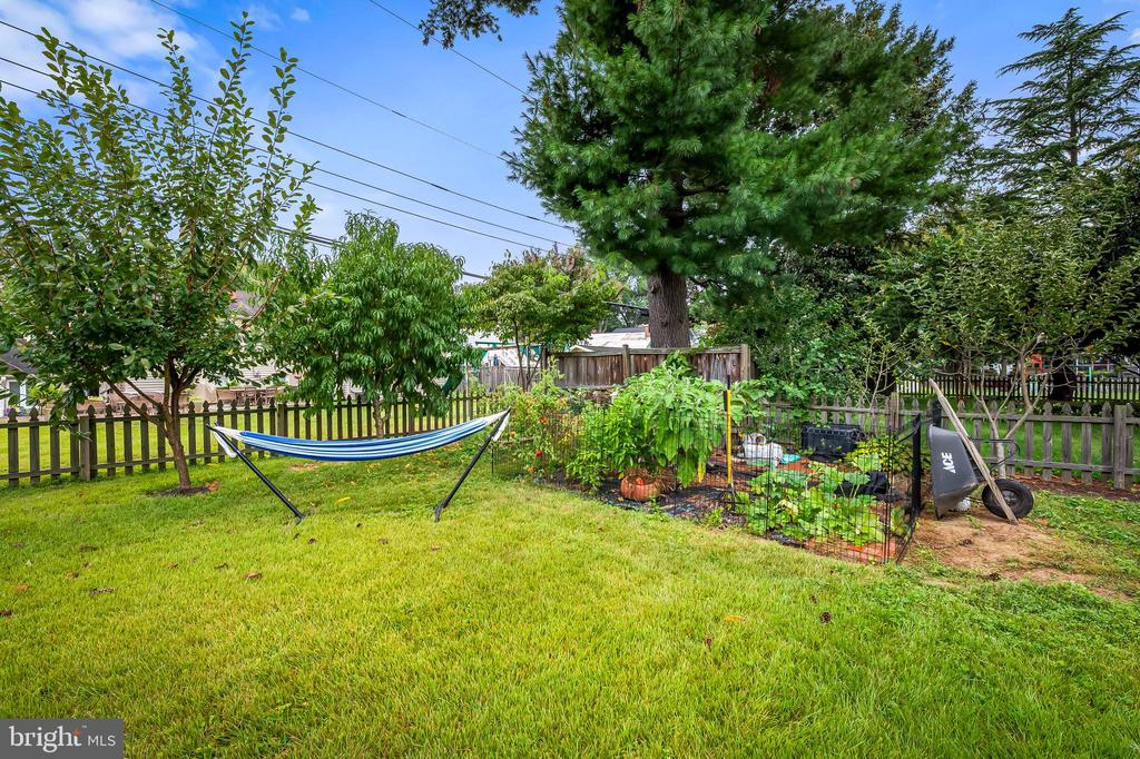 605 PINE TREE DRIVE