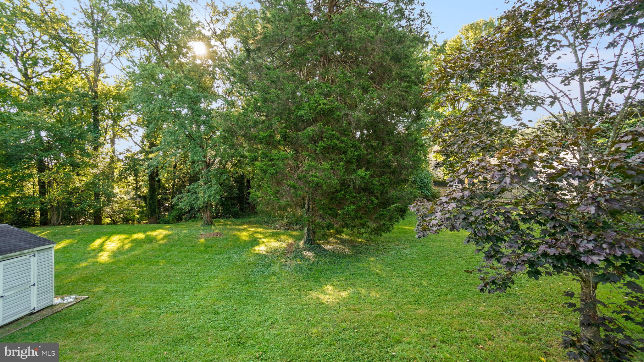 774 DIVIDING CREEK ROAD