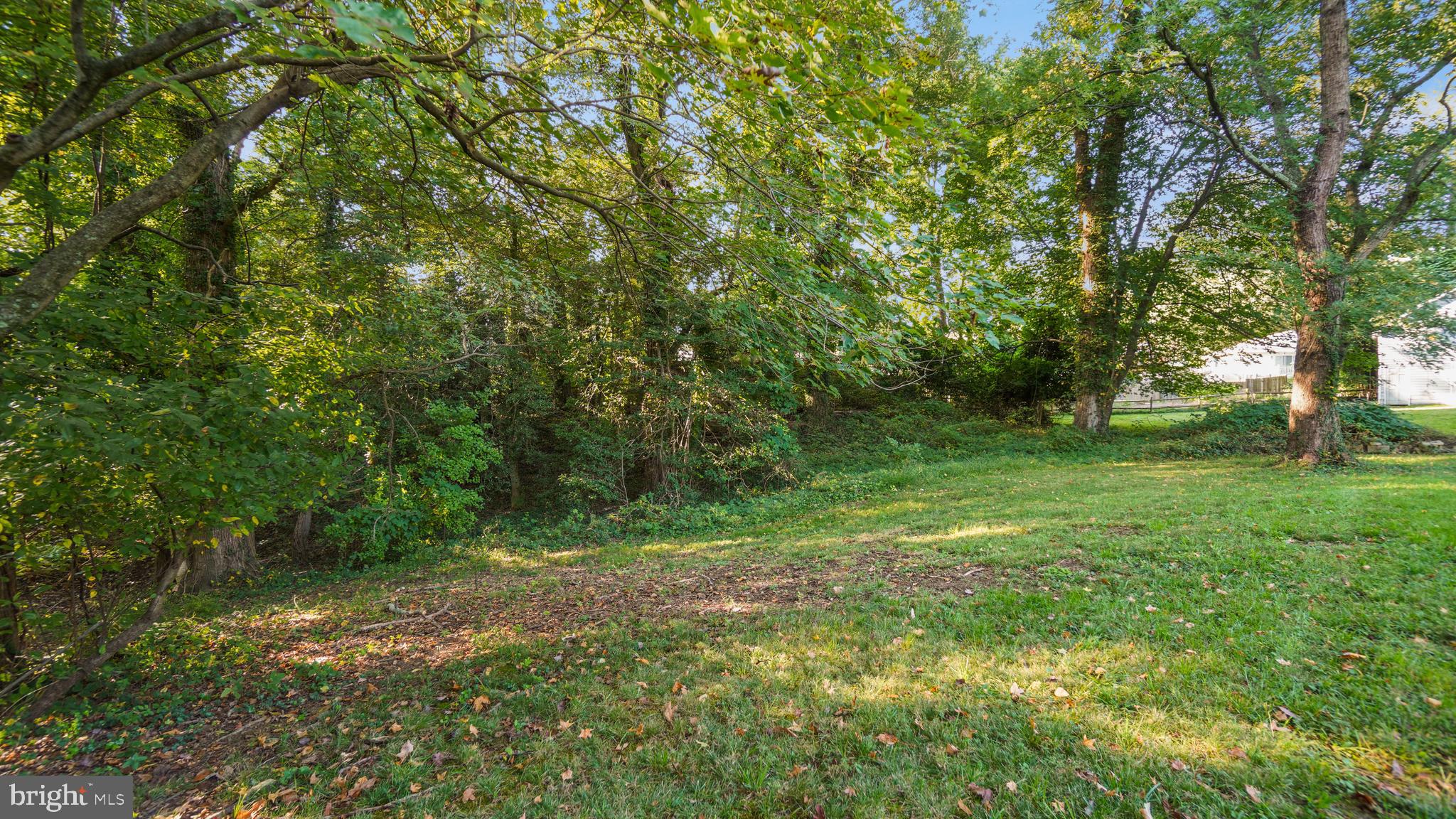 774 DIVIDING CREEK ROAD