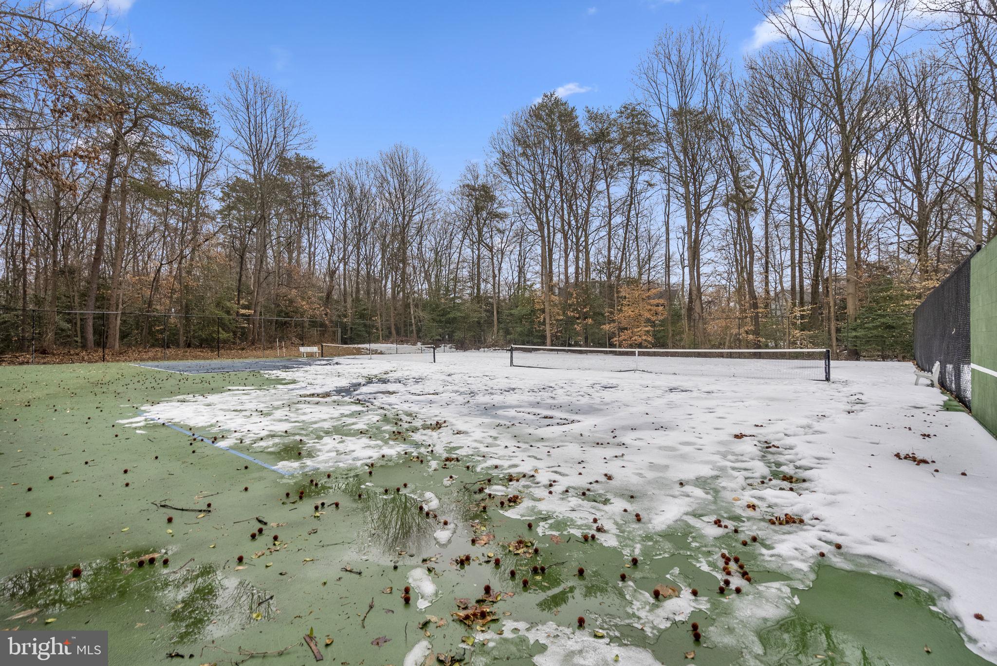 2733 GINGERVIEW LANE