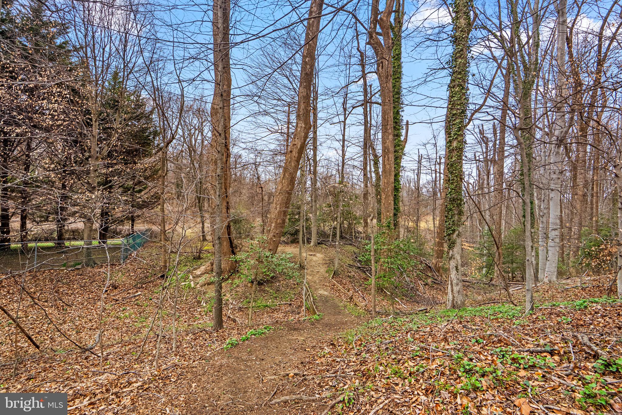 1866 LYNNFIELD DRIVE