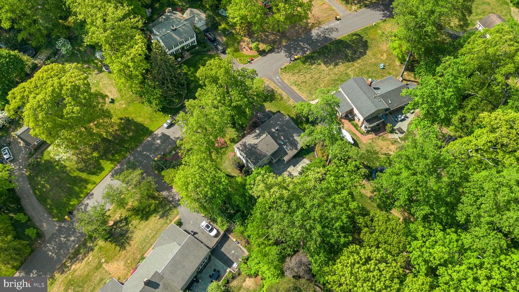 1041 PLACID COURT