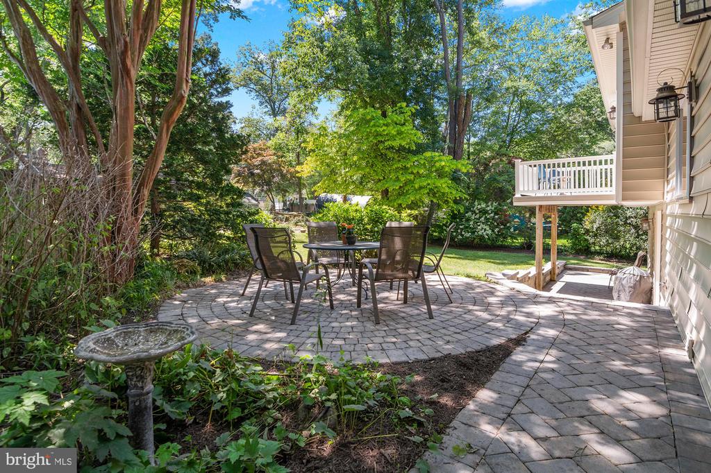 1123 CHINABERRY LANE