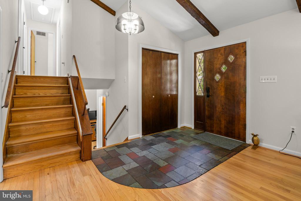 1123 CHINABERRY LANE