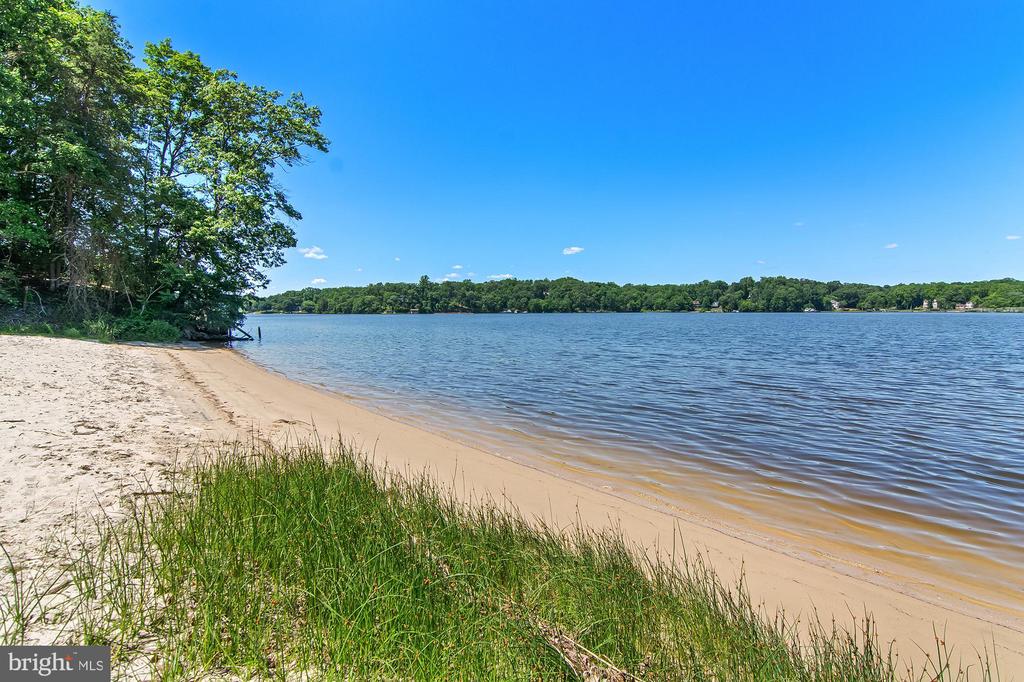 1123 CHINABERRY LANE