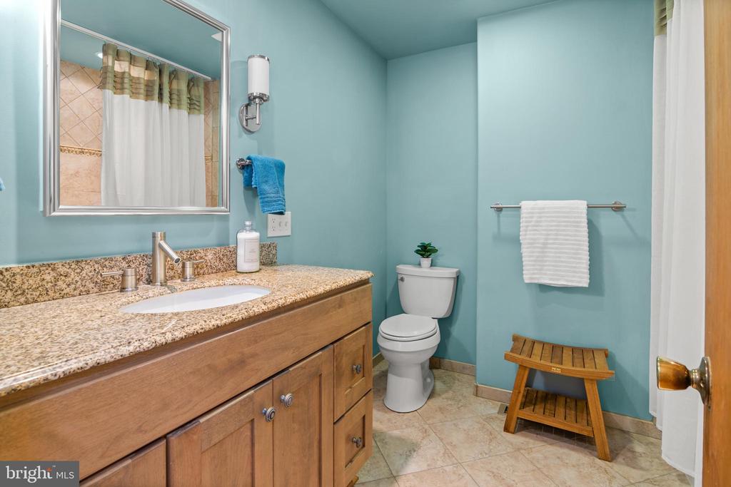 1123 CHINABERRY LANE