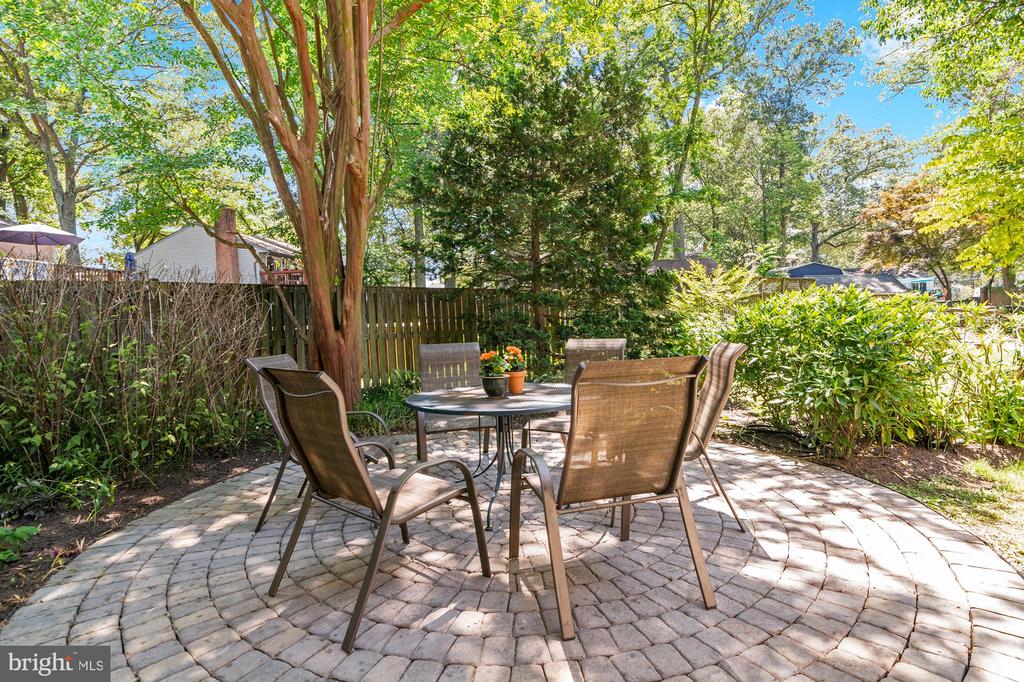 1123 CHINABERRY LANE