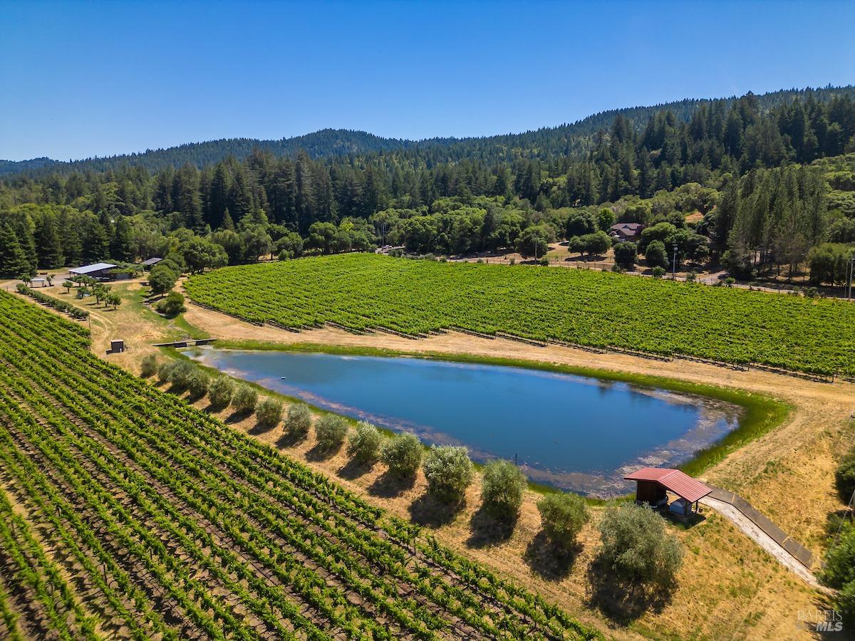 18560 Mountain View Rd