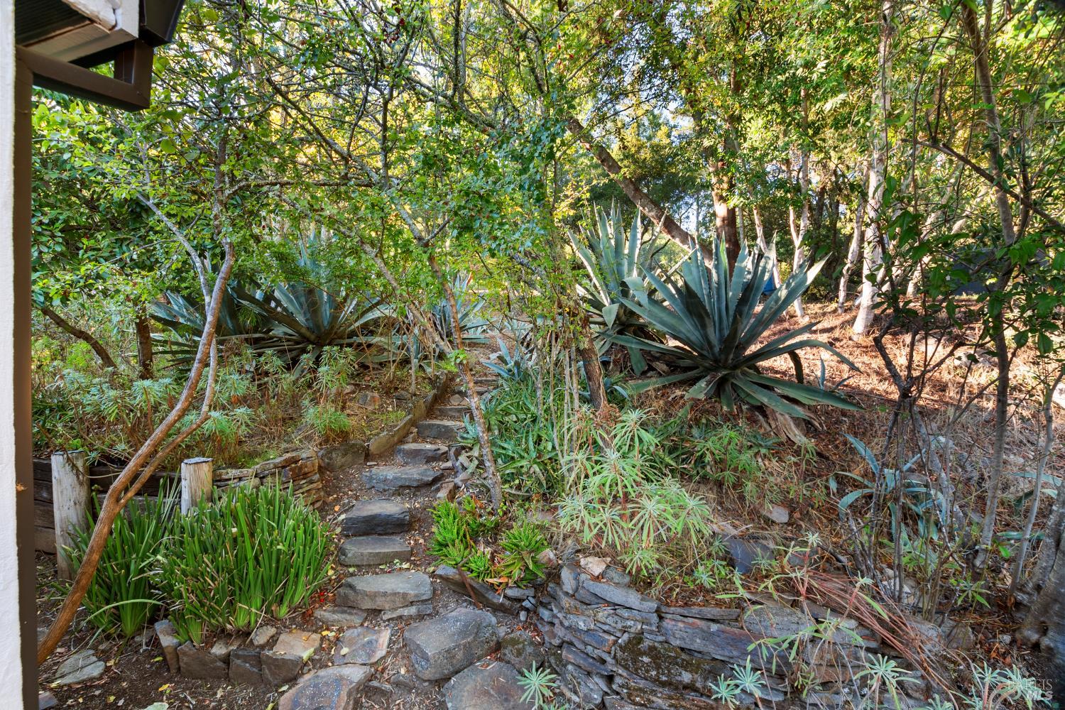 12303 Margie Lane